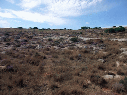 Field next to the road from the Hagar Qim Temples to the Mnajdra Temples