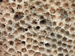 Pits in wall at the South Temple of the Mnajdra Temples