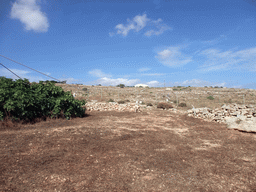Field at the east side of the Mnajdra Temples