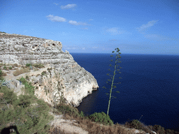 Plants and rocks near the Blue Grotto and the Mediterranean Sea, viewed from the Triq Wied Iz-Zurrieq street