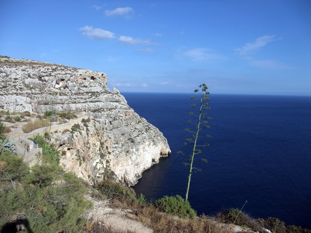 Plants and rocks near the Blue Grotto and the Mediterranean Sea, viewed from the Triq Wied Iz-Zurrieq street