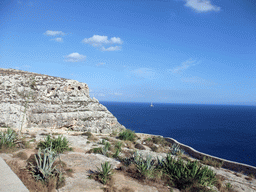 Plants and rocks near the Blue Grotto and the Mediterranean Sea, viewed from the Triq Wied Iz-Zurrieq street