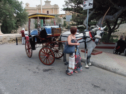 Miaomiao with a horse and carriage at the entrance road to Mdina