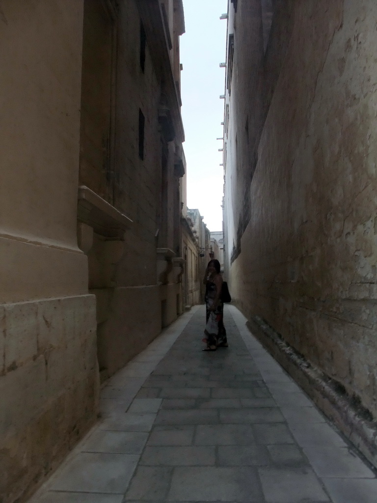 Miaomiao at the Mesquita street at Mdina