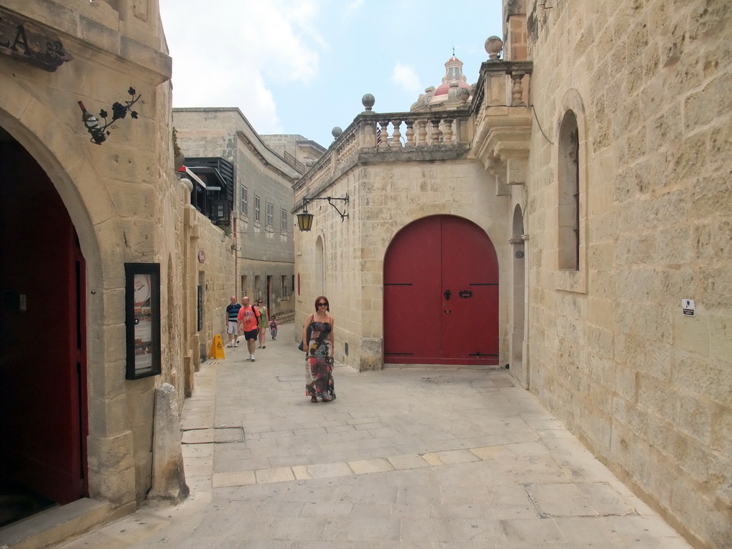 Miaomiao at the Triq Is-Sur street at Mdina