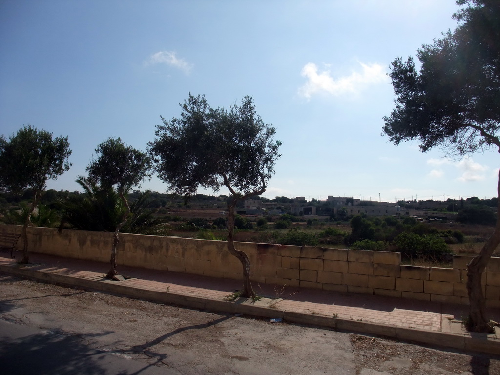 The Vjal Il-Haddiem street and countryside at the southwest side of Rabat, viewed from a horse and carriage