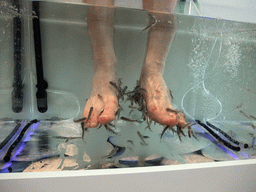 Tim`s feet with little fish in the `Bubbles - Dr Fish Foot Spa` at Sliema
