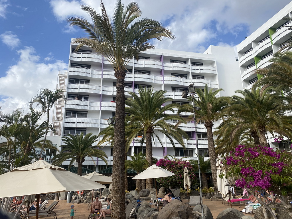 Palm trees at the east swimming pool at the Abora Buenaventura by Lopesan hotel