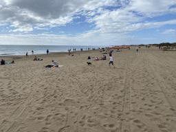 Max following a dog at the Playa del Inglés beach