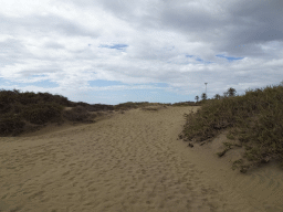 Northeast side of the Maspalomas Dunes, viewed from the Playa del Inglés beach