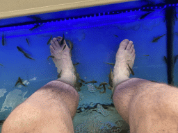 Tim`s feet at the Doctor Fish at the Playa del Inglés Aparcamiento shopping mall