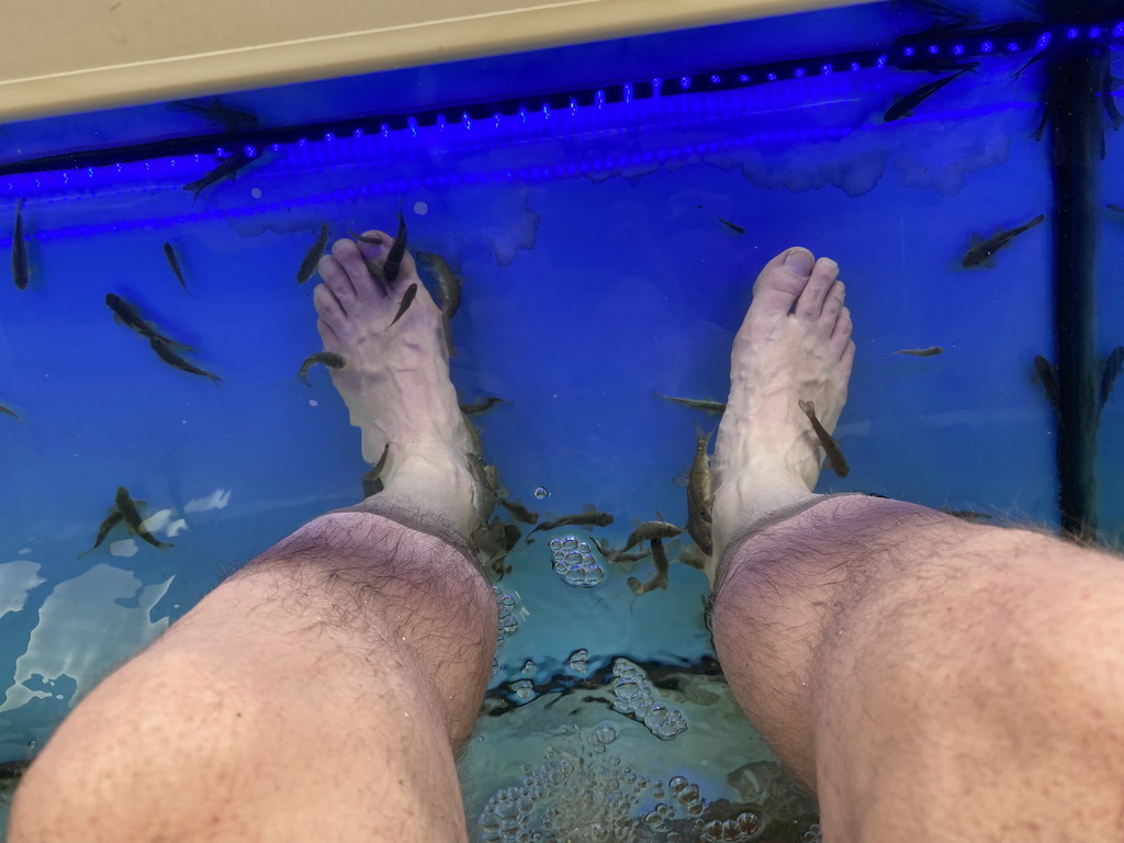 Tim`s feet at the Doctor Fish at the Playa del Inglés Aparcamiento shopping mall