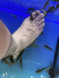Tim`s foot at the Doctor Fish at the Playa del Inglés Aparcamiento shopping mall