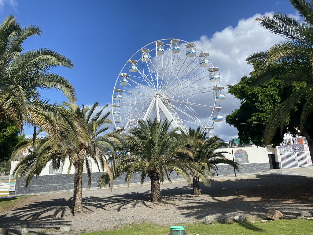 Ferris wheel at the Holiday World Maspalomas Center theme park at the Avenida Touroperador Tui street, viewed from the bus to the Palmitos Park