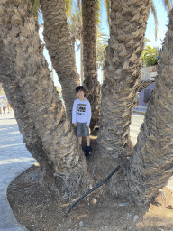Max at a palm tree at the Calle Oceanía street