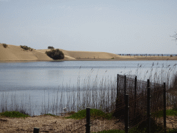 The Charca de Maspalomas lake and the Maspalomas Dunes, viewed from the Calle Oceanía street