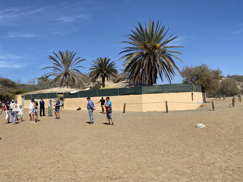 Main building of the Camel Safari, viewed from Tim`s Dromedary