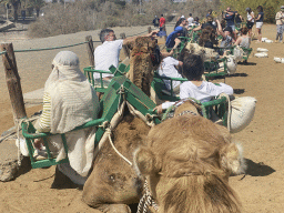 Miaomiao and Max on their Dromedary at the starting point of the Camel Safari, viewed from Tim`s Dromedary