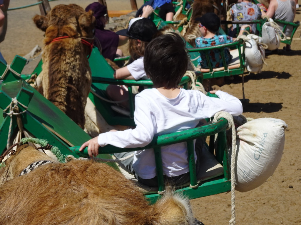 Max on his Dromedary at the starting point of the Camel Safari, viewed from Tim`s Dromedary