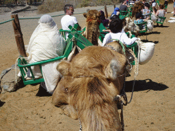 Miaomiao and Max on their Dromedary at the starting point of the Camel Safari, viewed from Tim`s Dromedary