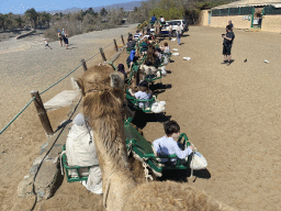 Miaomiao and Max on their Dromedary at the starting point of the Camel Safari, viewed from Tim`s Dromedary