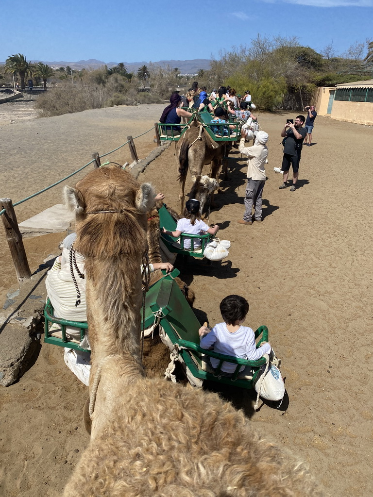 Miaomiao and Max on their Dromedary at the starting point of the Camel Safari, viewed from Tim`s Dromedary