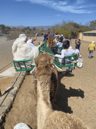 Miaomiao and Max on their Dromedary at the starting point of the Camel Safari, viewed from Tim`s Dromedary