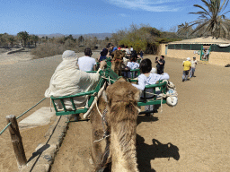 Miaomiao and Max on their Dromedary at the starting point of the Camel Safari, viewed from Tim`s Dromedary