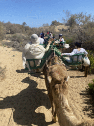 Miaomiao and Max on their Dromedary at the Maspalomas Dunes, viewed from Tim`s Dromedary, during the Camel Safari