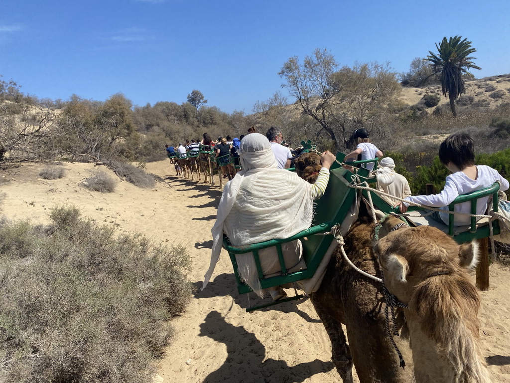 Miaomiao and Max on their Dromedary at the Maspalomas Dunes, viewed from Tim`s Dromedary, during the Camel Safari