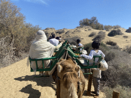 Miaomiao and Max on their Dromedary at the Maspalomas Dunes, viewed from Tim`s Dromedary, during the Camel Safari