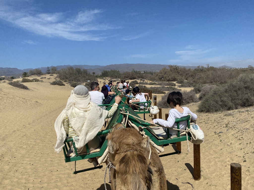 Miaomiao and Max on their Dromedary at the Maspalomas Dunes, viewed from Tim`s Dromedary, during the Camel Safari