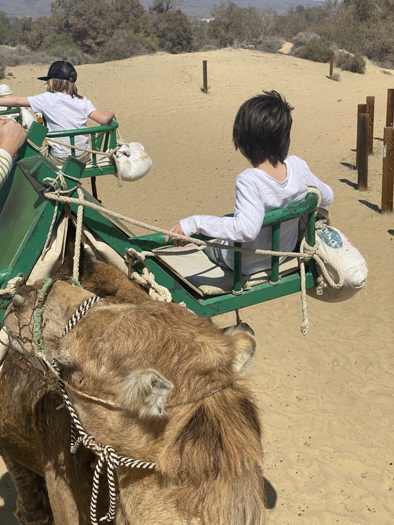 Max on his Dromedary at the Maspalomas Dunes, viewed from Tim`s Dromedary, during the Camel Safari