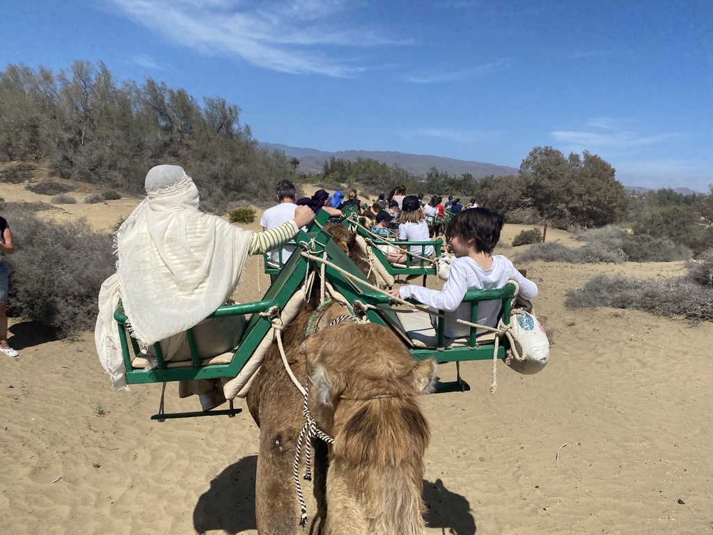 Miaomiao and Max on their Dromedary at the Maspalomas Dunes, viewed from Tim`s Dromedary, during the Camel Safari