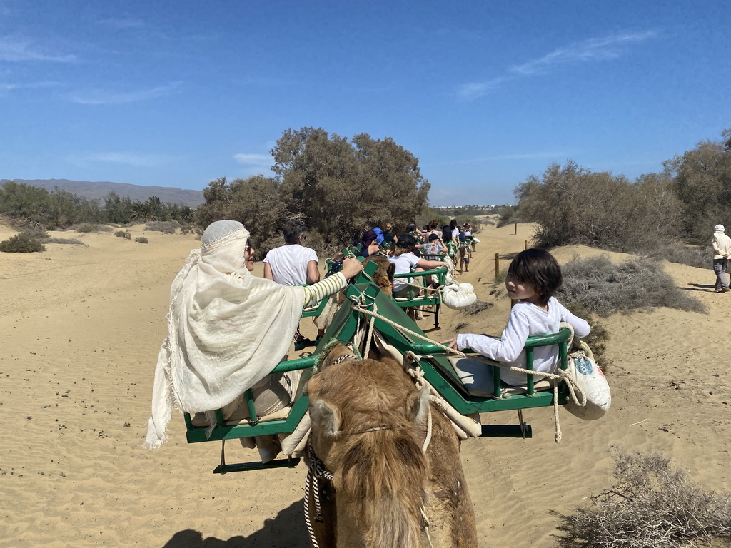 Miaomiao and Max on their Dromedary at the Maspalomas Dunes, viewed from Tim`s Dromedary, during the Camel Safari