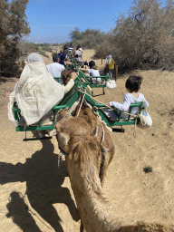 Miaomiao and Max on their Dromedary at the Maspalomas Dunes, viewed from Tim`s Dromedary, during the Camel Safari