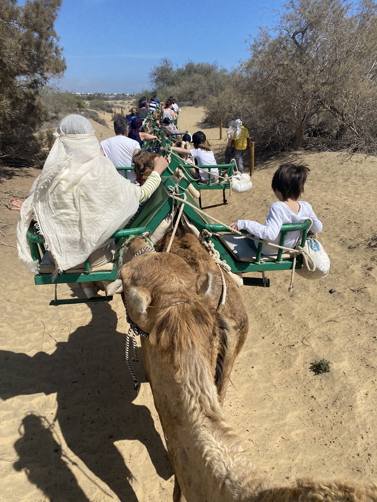 Miaomiao and Max on their Dromedary at the Maspalomas Dunes, viewed from Tim`s Dromedary, during the Camel Safari