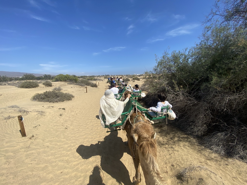 Miaomiao and Max on their Dromedary at the Maspalomas Dunes, viewed from Tim`s Dromedary, during the Camel Safari