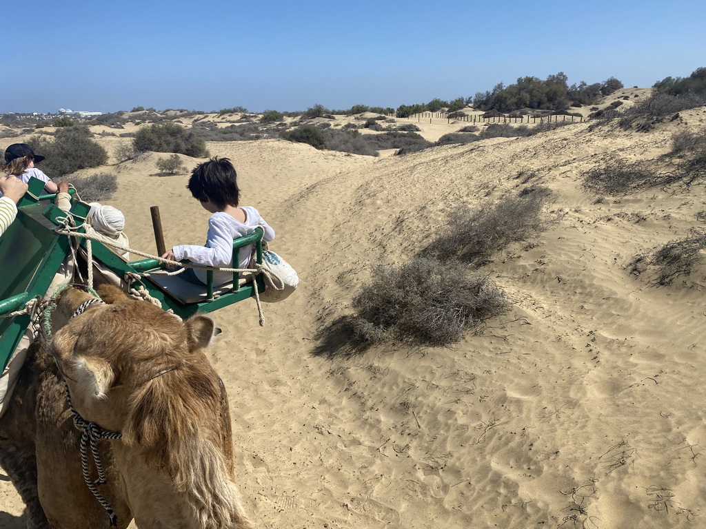 Max on his Dromedary at the Maspalomas Dunes, viewed from Tim`s Dromedary, during the Camel Safari