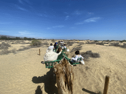 Miaomiao and Max on their Dromedary at the Maspalomas Dunes, viewed from Tim`s Dromedary, during the Camel Safari