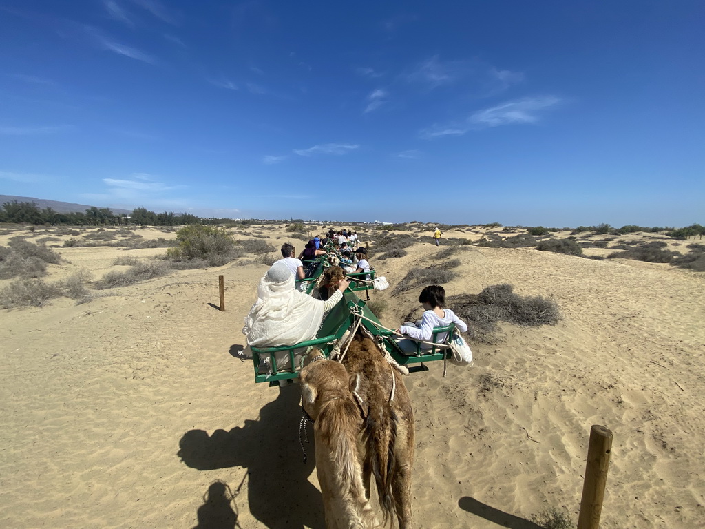 Miaomiao and Max on their Dromedary at the Maspalomas Dunes, viewed from Tim`s Dromedary, during the Camel Safari