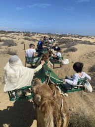 Miaomiao and Max on their Dromedary at the Maspalomas Dunes, viewed from Tim`s Dromedary, during the Camel Safari