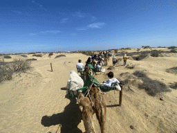 Miaomiao and Max on their Dromedary at the Maspalomas Dunes, viewed from Tim`s Dromedary, during the Camel Safari