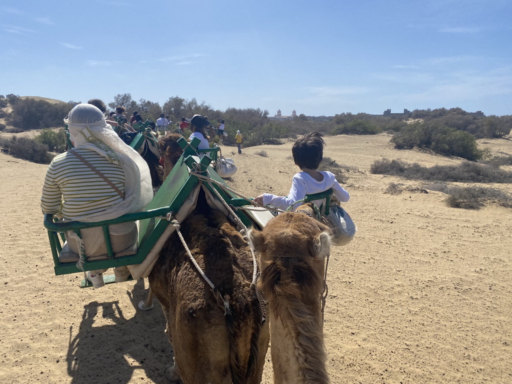 Miaomiao and Max on their Dromedary at the Maspalomas Dunes, the towers of the Lopesan Costa Meloneras Resort, Spa & Casino and the Lopesan Baobab Resort, viewed from Tim`s Dromedary, during the Camel Safari