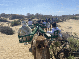 Miaomiao and Max on their Dromedary at the Maspalomas Dunes, the towers of the Lopesan Costa Meloneras Resort, Spa & Casino and the Lopesan Baobab Resort, viewed from Tim`s Dromedary, during the Camel Safari