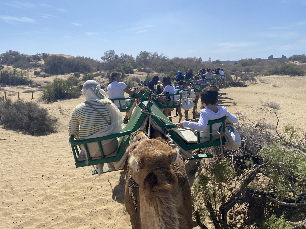 Miaomiao and Max on their Dromedary at the Maspalomas Dunes, the towers of the Lopesan Costa Meloneras Resort, Spa & Casino and the Lopesan Baobab Resort, viewed from Tim`s Dromedary, during the Camel Safari