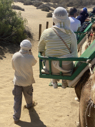 The Maspalomas Dunes, viewed from Tim`s Dromedary, during the Camel Safari