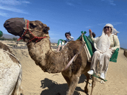 Tim, Miaomiao and Max on their Dromedaries at the Maspalomas Dunes, during the Camel Safari