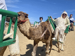 Tim, Miaomiao and Max on their Dromedaries at the Maspalomas Dunes, during the Camel Safari