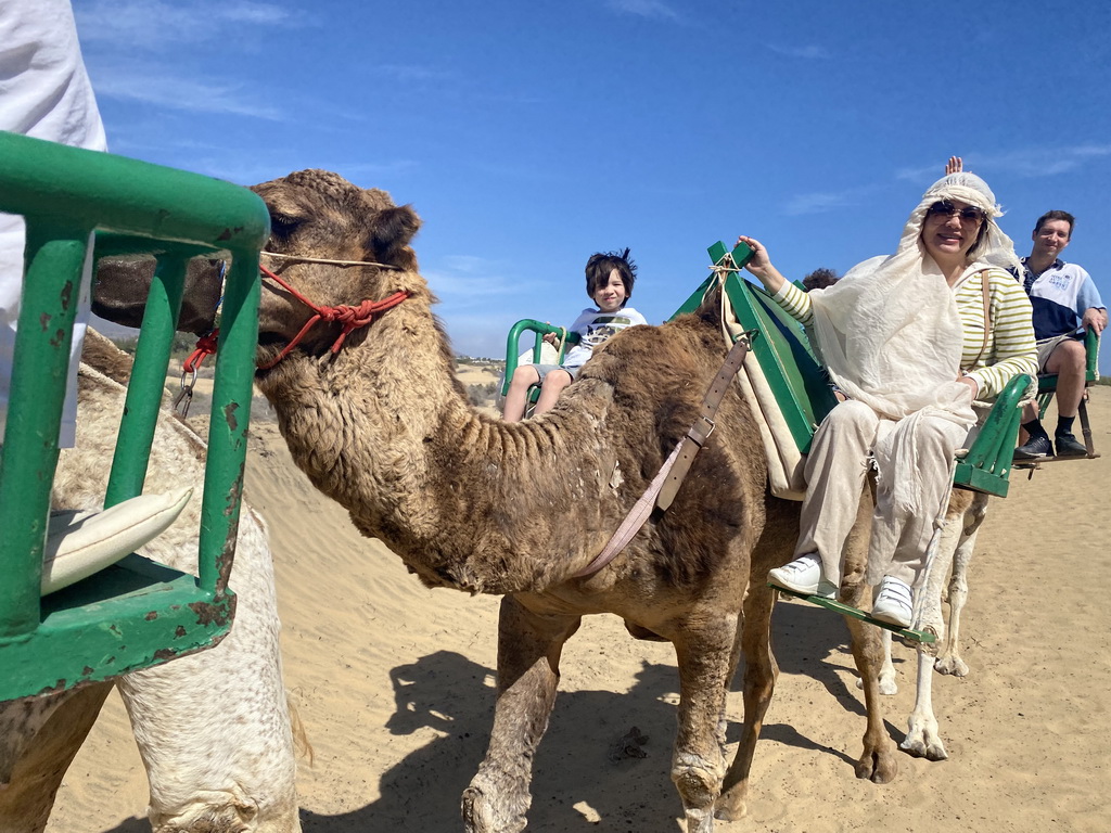 Tim, Miaomiao and Max on their Dromedaries at the Maspalomas Dunes, during the Camel Safari